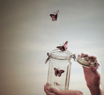 butterflies freed.jpg